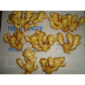 Ginger Wholesale Chinese High Quality Fresh Ginger Supplier for Wet Ginger